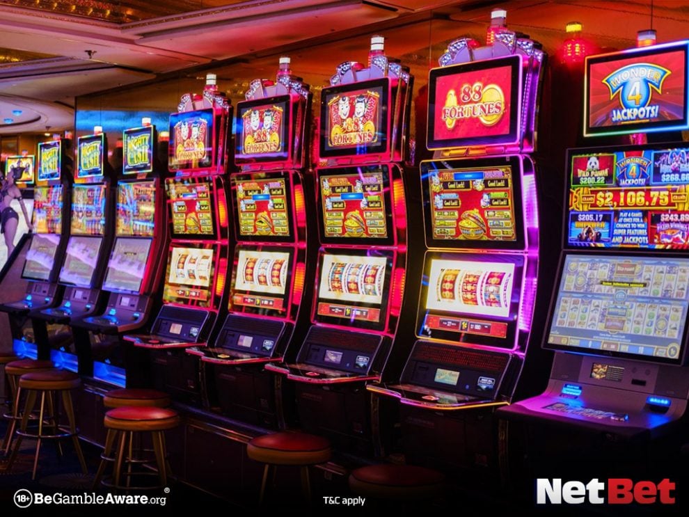 z7|Bingo Online – Teste Hoje no Cassino Mobile